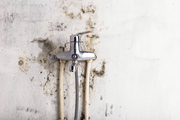  Eielson Af, AK Mold Removal Pros