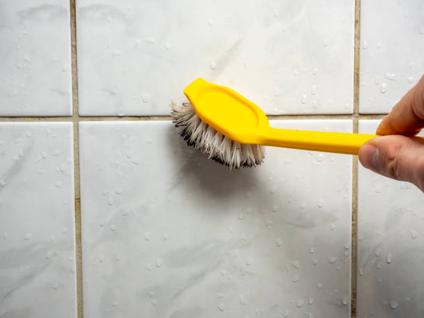 Best Black Mold Removal  in Eielson Af, AK