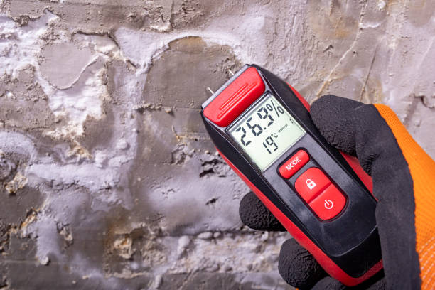 Trusted Eielson Af, AK Mold Removal Experts